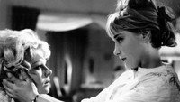 «Весь мир в кармане (1963)» — обои к фильму #1