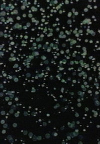 Motion (1980) poster