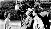 «Френсис в большом городе (1953)» — обои к фильму #1