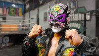 Mexico City - creative and combative