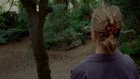 If I Could Bear Myself Like Trees Do