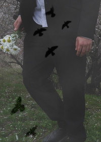 Kuşlar Uçtuğunda