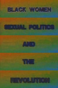 Black Women, Sexual Politics and the Revolution (1992)