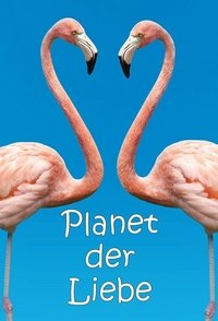 Movieposter Planet der Liebe