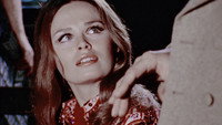 «Как мухи на мёд (1971)» — обои к фильму #1