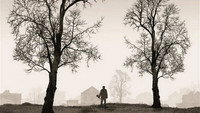 «Тираннозавр (2011)» — обои к фильму #3
