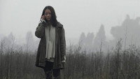 «Прикосновение весны (2017)» — обои к фильму #1
