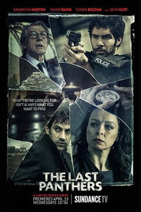 Постер сериала «Последние пантеры (2015)» — (3 из 18)