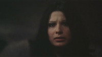 «Жестокий закон отдела по борьбе с преступностью (1976)» — обои к фильму #2