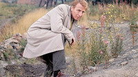 «Public Eye (1965-1975)» — обои к сериалу #3