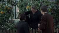 Обои к фильму «Весна, пан сержант! (1974)» — (13 из 18)