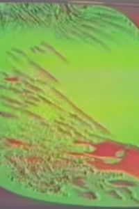 Imagem do Filme C'era una volta un Re