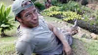 «Down & Dirty (2007)» — обои к сериалу #9