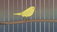 I Want to Fly