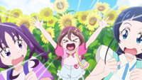 Wink in a Field of Sunflowers
