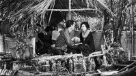 «Опустошенное поле (1979)» — обои к фильму #1