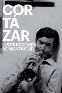 Cortázar: Instrucciones de montaje (II)