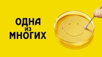 Обои к сериалу «Одна из многих (2025)» — (33 из 78)