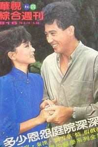 庭院深深 (1987)