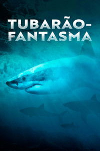 Tubarão-Fantasma