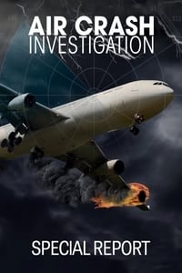 tv show poster Air+Crash+Investigation%3A+Special+Report 2018