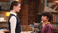 First Heartbeat
