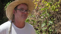 Chicken Coop Invasion