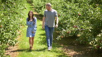 «How to Find Forever (2022)» — обои к фильму #3