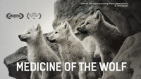 «Medicine of the Wolf (2015)» — обои к фильму #1