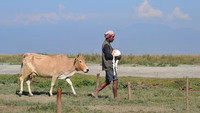 India's Realm of Big Animals