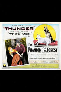 Poster de The Phantom of the Forest