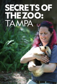 Постер сериала «Secrets of the Zoo: Tampa (2020)» — (2 из 16)