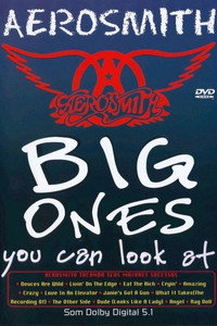 Постер фильма «Aerosmith: Такого Вы еще не видели (1994)» — (4 из 7)