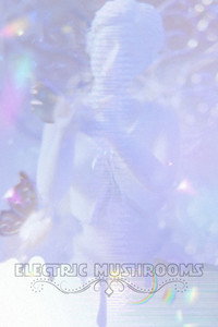 Electric Mushrooms