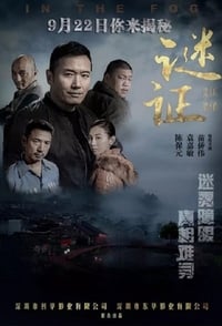 谜证 (2017)