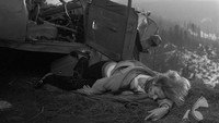 «Кошачьи следы (1971)» — обои к фильму #3
