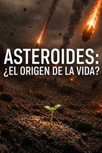Asteroides: ¿El origen de la vida?