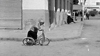 Обои к фильму «Сын Хамиду (1957)» — (21 из 54)