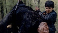 «Goroohban (1991)» — обои к фильму #1