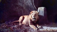 «Принц за семью морями (1982)» — обои к фильму #4