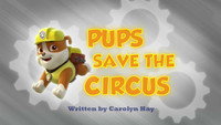 Pups Save the Circus