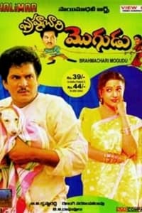 బ్రహ్మచారి మొగుడు (1994)