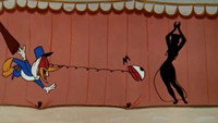 «Socko in Morocco (1954)» — обои к мультфильму #1
