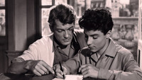 «Призыв судьбы (1953)» — обои к фильму #1