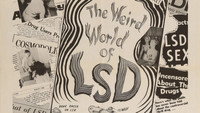 «The Weird World of LSD (1967)» — обои к фильму #1