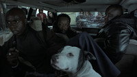 Обои к фильму «Большой куш (2000)» — (22 из 23)