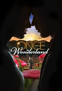Постер сериала «Однажды в стране чудес (2013-2014)» — (3 из 17)