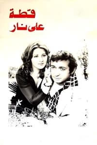 قطة على نار (1977)