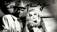 «Ночная бабочка (1976)» — обои к фильму #1