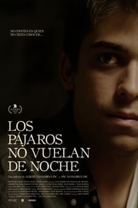 Poster de Los pájaros no vuelan de noche